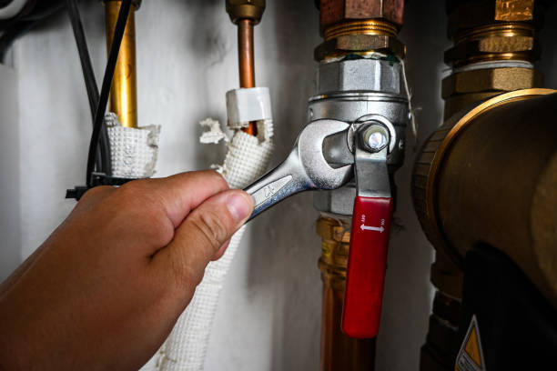 Best Clogged Drain Plumber  in Franklinville, NC